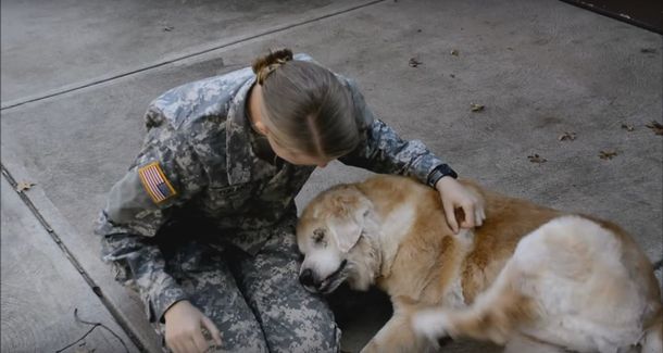 VIDEO: Mirá la reacción de una perra cuando se reencuentra con su dueña soldado