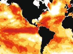 ahora identifican mas olas de calor en el fondo del oceano