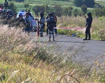 Horror en México: encontraron 6 cabezas humanas a la vera de una ruta