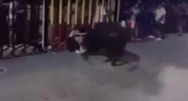 VIDEO: La impactante corneada que sufrió un adolescente en un festival en España