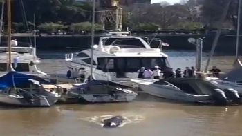 Foto de la ballena que apareció en agosto en Puerto Madero. Foto de la ballena que apareció en agosto en Puerto Madero.