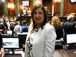 Iron Mountain: legisladores del Frente de Todos exigen justicia por las víctimas de la tragedia