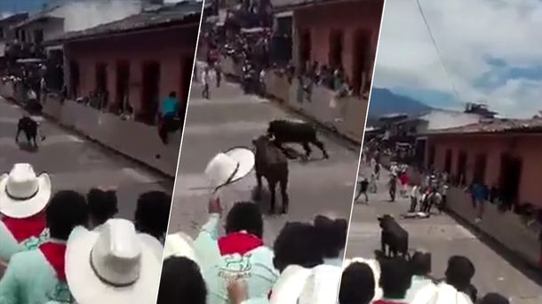 VIDEO: La terrible embestida de un toro que hizo dar vueltas en el aire a un joven