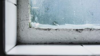 Truco casero: la manera de terminar con la humedad en las paredes Truco casero: la manera de terminar con la humedad en las paredes