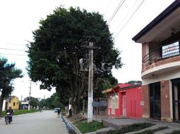 Esperaba al delivery y fue baleada por motochorros. Gentileza La Gaceta