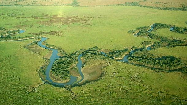 El Gobierno creó el Parque Nacional El Impenetrable en Chaco