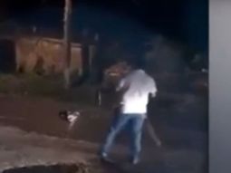 Un cocodrilo se comió un perro en México