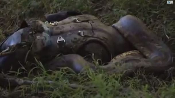 Fracasó el científico que quería ser tragado por una anaconda
