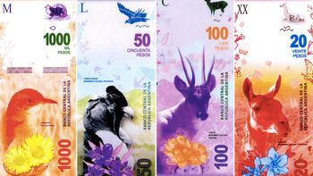 en 2017 reemplazaran los billetes con proceres por otros con animales en 2017 reemplazaran los billetes con proceres por otros con animales
