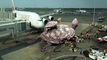 Invasion-tortugas Invasion-tortugas