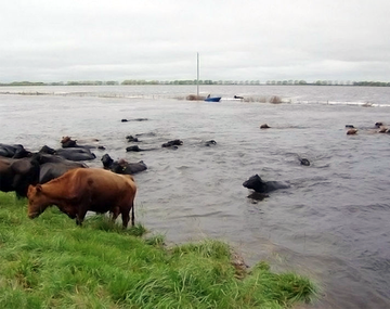 Declaran emergencia agropecuaria en más distritos bonaerenses