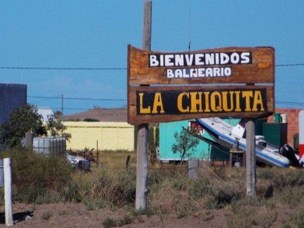 Villarino: siete lobos marinos murieron por supuesta gripe aviar