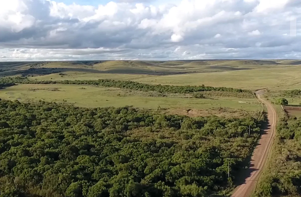 El gobierno destinará 15 millones de dólares extra para la reparación de caminos rurales en Uruguay.