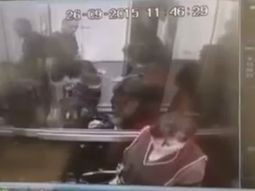 video: se molesto porque un perro estaba en un ascensor y golpeo a la mascota video: se molesto porque un perro estaba en un ascensor y golpeo a la mascota