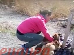 El perro se encontraba desnutrido