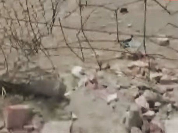 La frontera, un colador: así se cruza de Argentina a Bolivia sin control