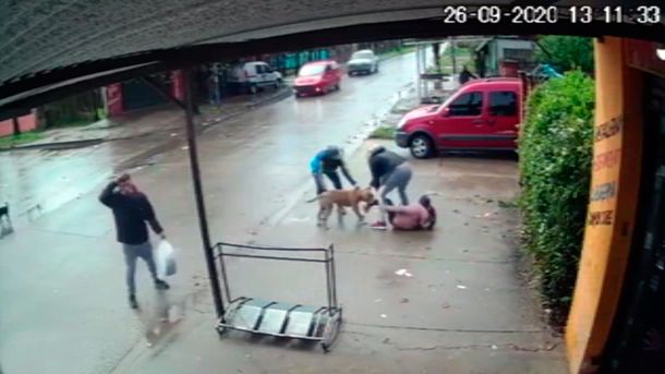 Imágenes sensibles: brutal ataque de un pitbull a una nena de 7 años en San Miguel