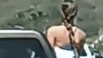 imprudencia: filman a una mujer asomada por la ventana de una camioneta en la ruta imprudencia: filman a una mujer asomada por la ventana de una camioneta en la ruta