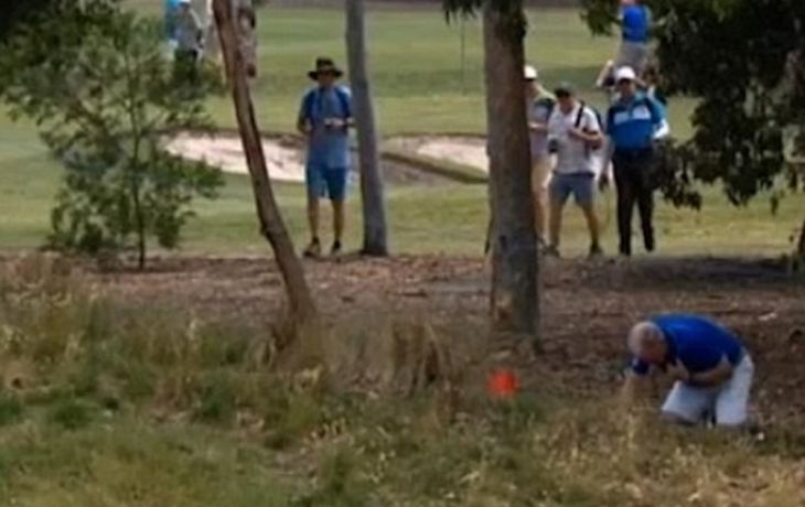 Veía un partido de golf y le rompieron la nariz