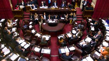 gremialistas reclaman fundamentos por los despidos en el senado gremialistas reclaman fundamentos por los despidos en el senado