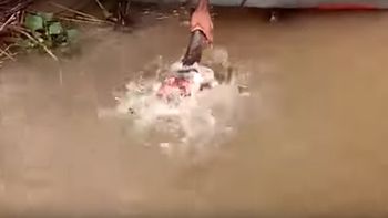 Alimenta pirañas con sus propias manos Alimenta pirañas con sus propias manos