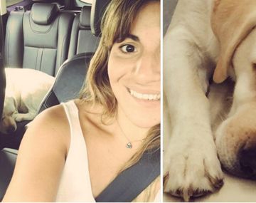 Dolor y furia de Gianinna porque atropellaron y mataron a su perra