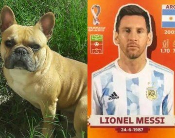 Jujuy: un nene ofreció la figurita de Messi para recuperar a un perro robado