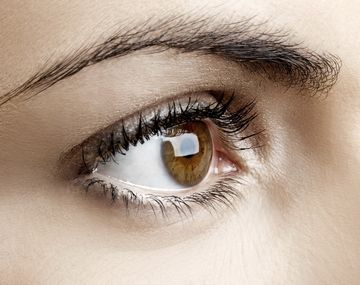 La pregunta que pocos pueden responder: ¿para qué sirven las cejas?