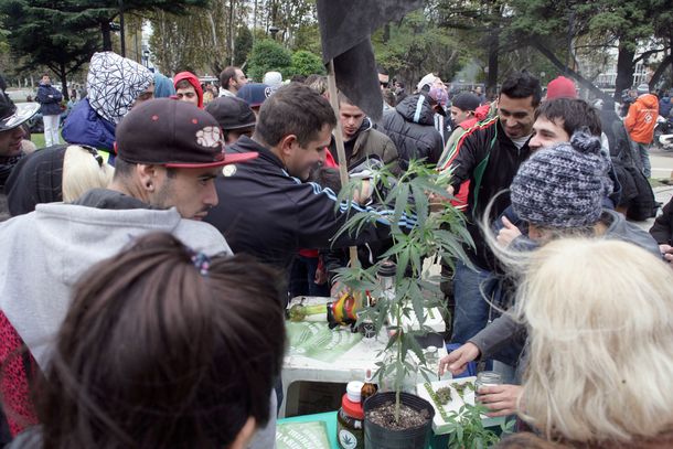 Las fotos de la marcha mundial de la marihuana en todo el país