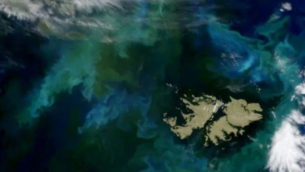La foto de las Islas Malvinas desde el espacio que publicó la NASA.