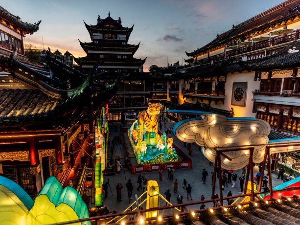 Año Nuevo Chino: el paso del búfalo de metal al tigre de agua será un cambio abrupto