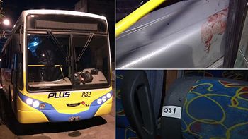 panamericana: el relato de un testigo del tiroteo en el colectivo 194 panamericana: el relato de un testigo del tiroteo en el colectivo 194