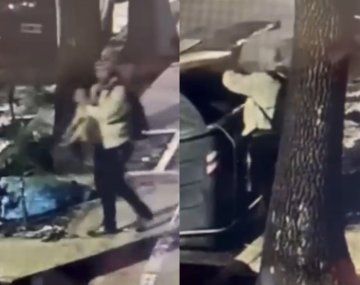 Indignante: un hombre tiró a su cachorro a la basura