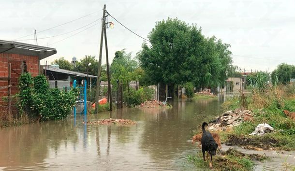 Al menos dos personas murieron durante el temporal que azotó La Plata el viernes y sábado