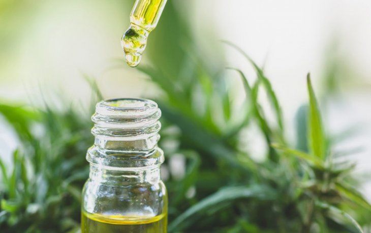 El Gobierno flexibiliza el acceso al Reprocann: quiénes podrán volver a inscribirse