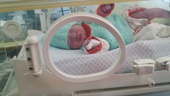 otra beba abandonada: la dejaron entre unas ramas y la salvo la policia otra beba abandonada: la dejaron entre unas ramas y la salvo la policia