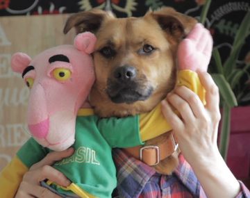 La versión más tierna de Despacito