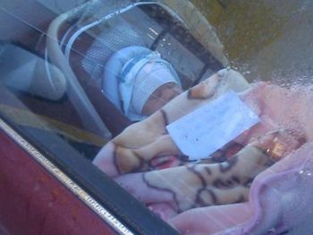 Abandonó a su bebé con un cartel: Mi mamá está de compras