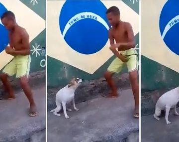 Mirá al perro que es furor con su baile