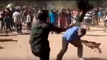 la cruel nueva version de las peleas de gallos: los usan para pegarse la cruel nueva version de las peleas de gallos: los usan para pegarse