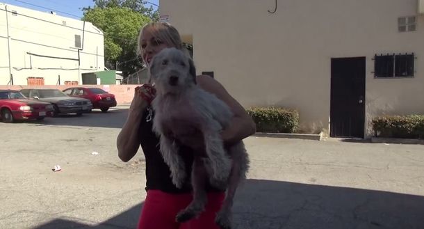 Emotivo rescate de un perro que vivía en un estacionamiento