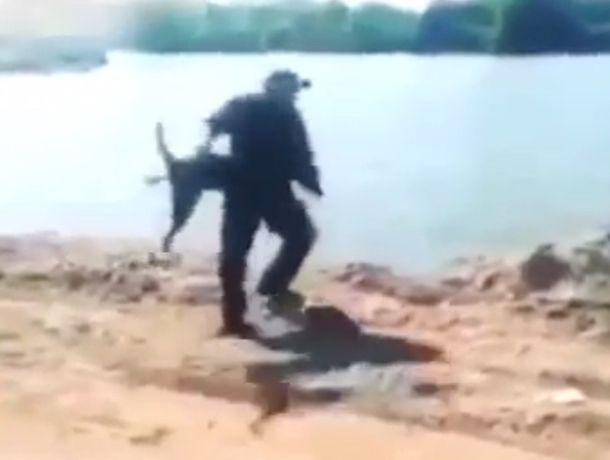 Quiso arrojar a un perro al agua, pero ganó el animal