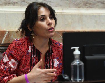 El voto de Lucila Crexell, clave para la Ley Bases