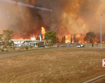 Voraz incendio en los bosques de Cariló y Valeria del Mar