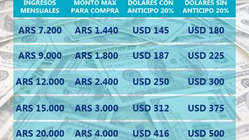 ¿cuantos dolares podes comprar segun tus ingresos? ¿cuantos dolares podes comprar segun tus ingresos?
