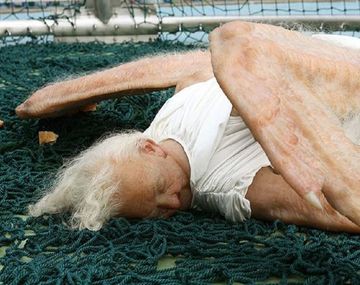 Las imágenes de un ángel caído