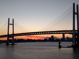 Diario de un pasajero en cuarentena en el crucero amarrado en Japón