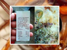 Pidió una pizza y encontró una cucaracha
