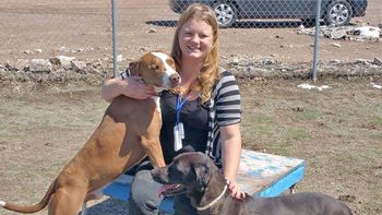 vendio el auto para salvar a sus perros vendio el auto para salvar a sus perros