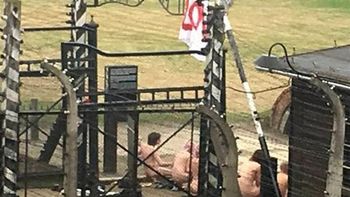 Curiosa manifestación en Auschwitz Curiosa manifestación en Auschwitz